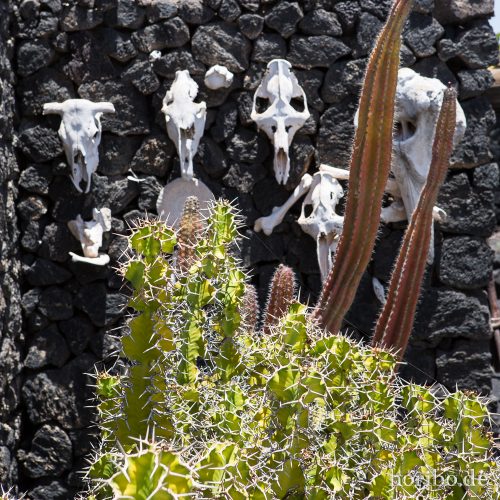 HR-16-07-09-15-21-59-6700