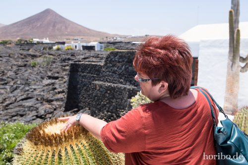 HR-16-07-09-15-23-47-6702