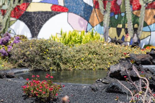 HR-16-07-09-15-57-31-6752