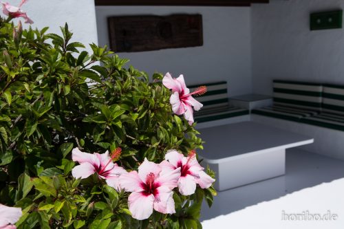 HR-16-07-09-16-17-13-6775