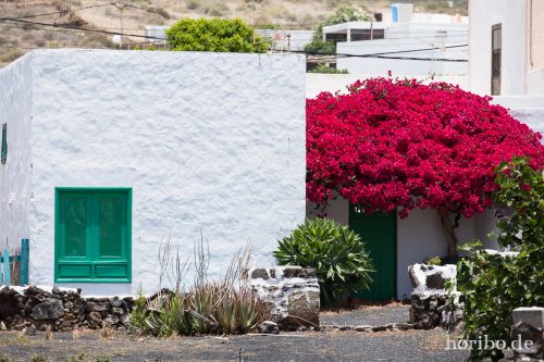 HR-16-07-10-14-50-47-6859