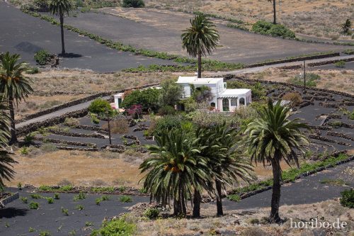 HR-16-07-10-14-54-13-6860