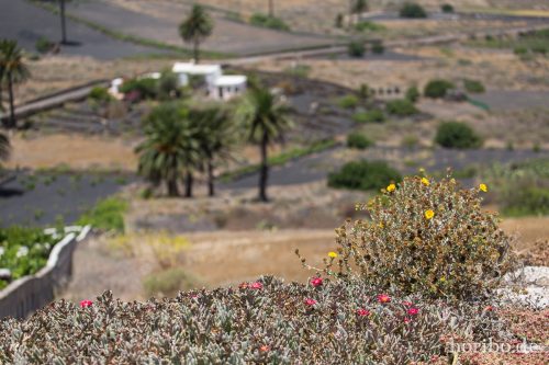 HR-16-07-10-14-54-37-6862