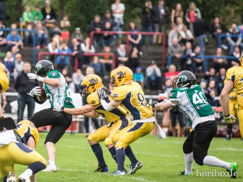 HR-16-07-16-15-12-29-7264