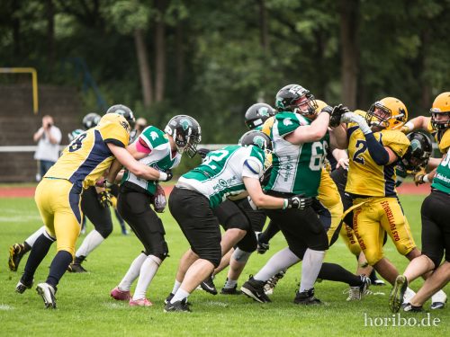 HR-16-07-16-15-23-04-7335