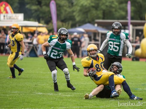 HR-16-07-16-15-29-34-7394