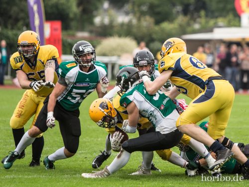 HR-16-07-16-15-30-15-7401