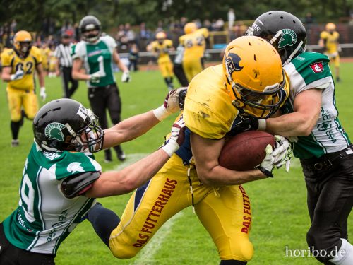 HR-16-07-16-15-33-12-7437