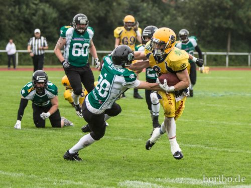 HR-16-07-16-15-51-17-7498