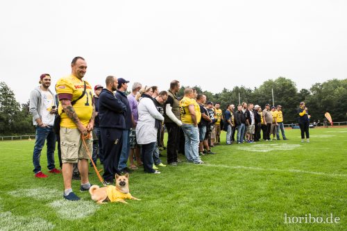 HR-16-07-16-16-11-17-7672