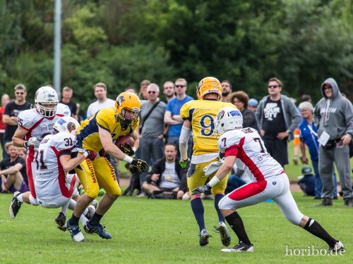 HR-16-08-14-15-13-00-9316