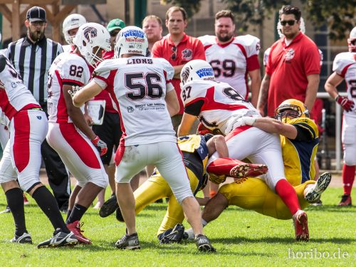 HR-16-08-14-15-18-42-9343