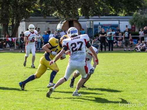 HR-16-08-14-16-25-55-9528