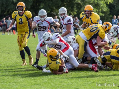 HR-16-08-14-16-50-18-9666