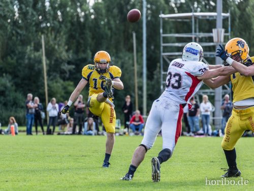 HR-16-08-14-16-54-19-9694