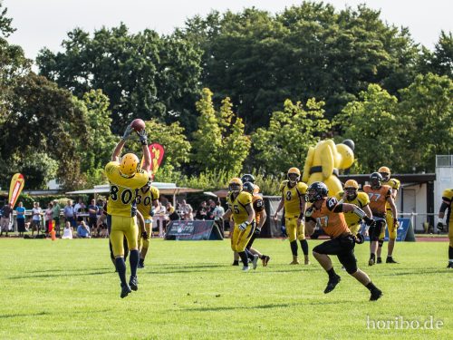 HR-16-08-27-16-38-49-0325