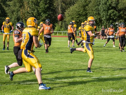 HR-16-08-27-17-11-33-0514