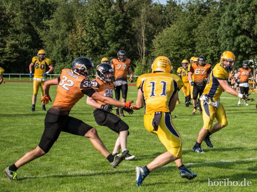 HR-16-08-27-17-11-33-0515