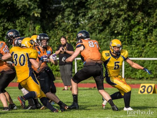 HR-16-08-27-17-14-00-0542