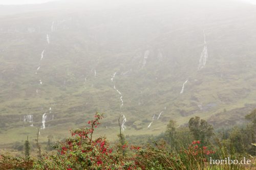 HR-16-09-21-13-25-52-1341