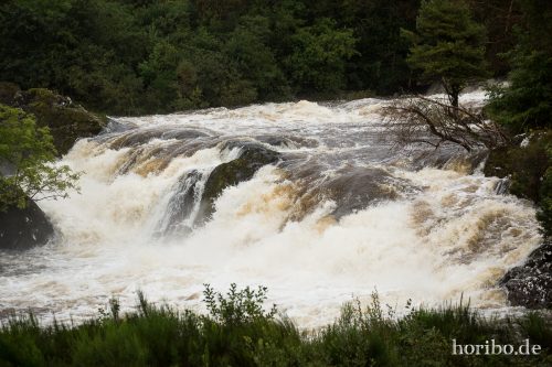 HR-16-09-21-13-46-39-1352