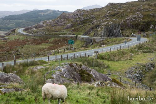 HR-16-09-23-14-25-52-1439