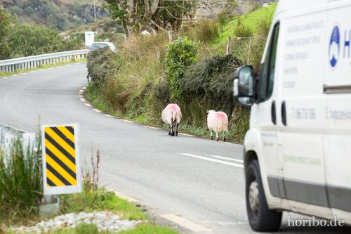 HR-16-09-23-14-40-24-1456