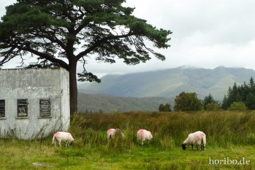 HR-16-09-23-14-43-39-1030207