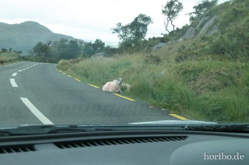 HR-16-09-23-14-55-12-1030214