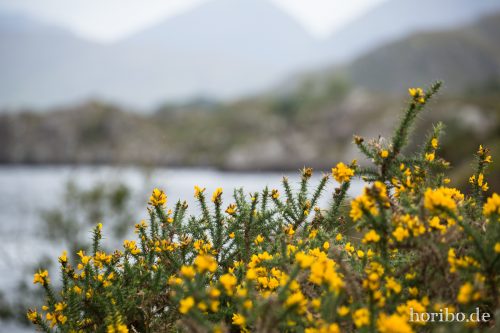 HR-16-09-23-14-57-15-1464