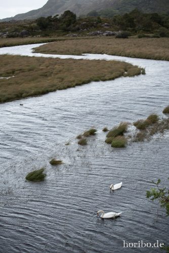 HR-16-09-23-14-57-51-1466