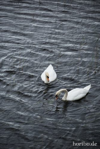 HR-16-09-23-14-58-22-1470