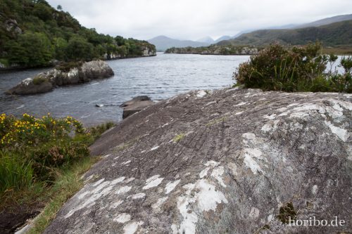 HR-16-09-23-15-01-44-1472