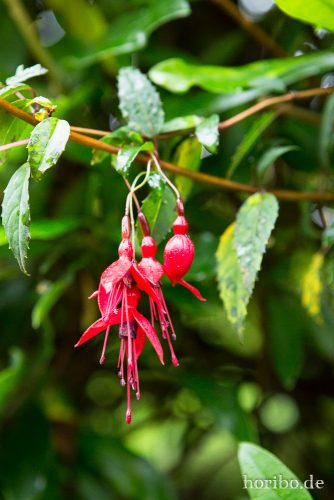 HR-16-09-23-18-41-26-1488