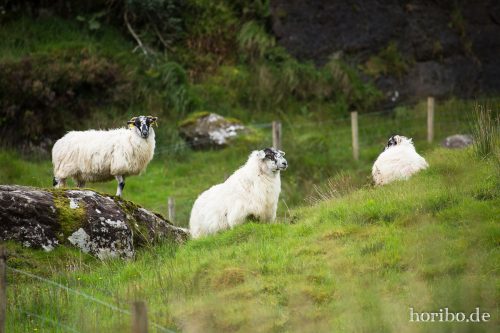 HR-16-09-24-16-33-24-1497