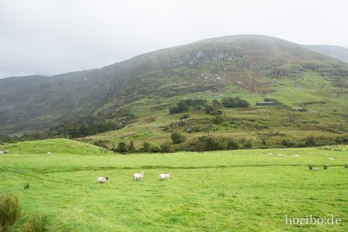 HR-16-09-24-17-05-16-1526