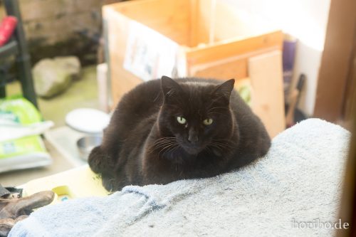 HR-16-09-25-10-59-15-1595