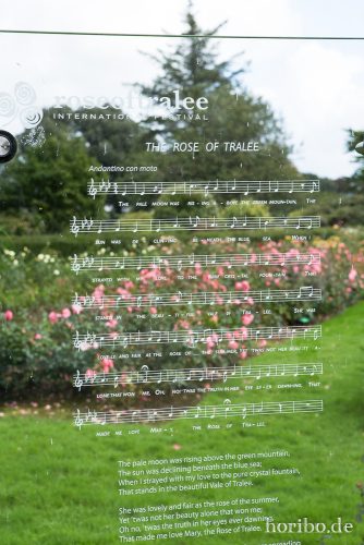 HR-16-09-25-16-12-21-1663