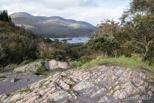 HR-16-09-25-17-31-34-1674