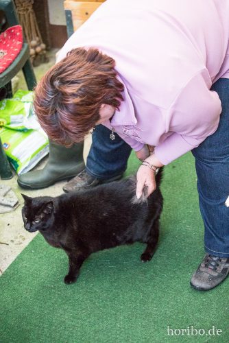 HR-16-09-25-18-43-38-1742