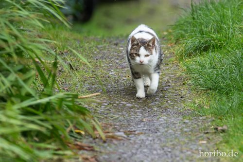 HR-16-09-25-18-44-13-1744