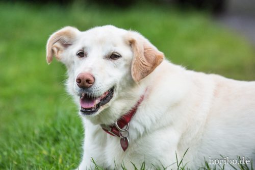 HR-16-09-25-18-48-12-1762