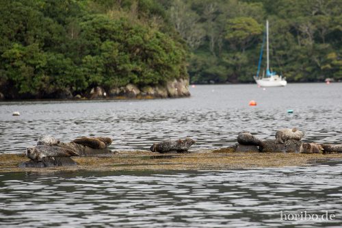 HR-16-09-26-15-52-05-1789