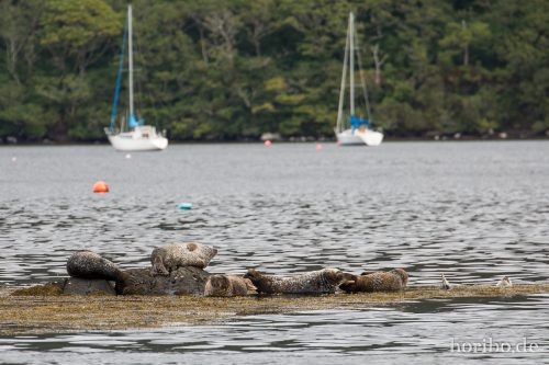 HR-16-09-26-15-52-15-1793