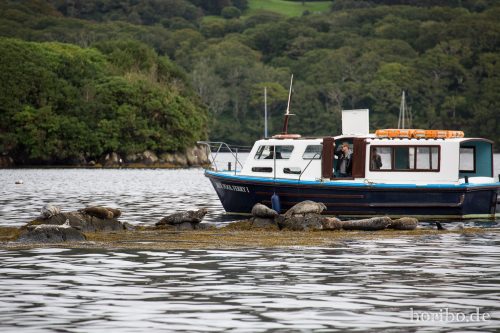 HR-16-09-26-16-02-28-1805