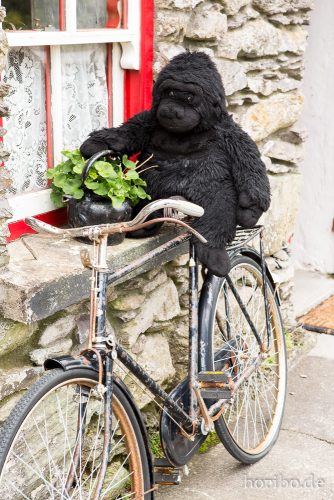 HR-16-09-26-17-41-24-1821