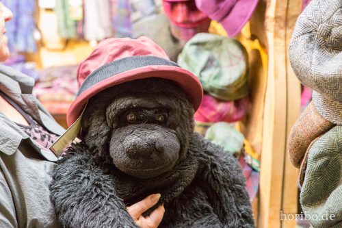 HR-16-09-26-17-47-02-1827