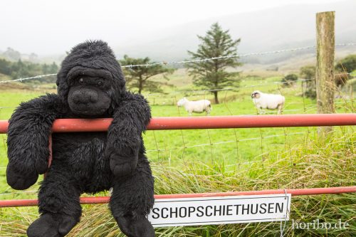 HR-16-09-26-18-14-03-1834