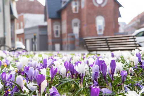 HR-16-04-02-11-05-34-8973