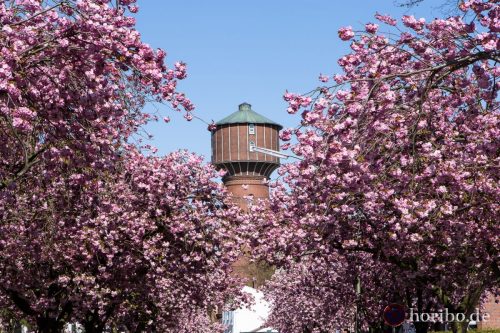 HR-16-05-05-16-19-09-0993